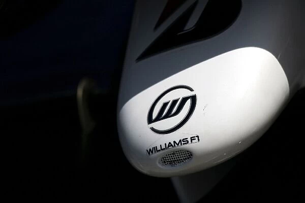 Formula One World Championship: Williams FW28 front nosecone
