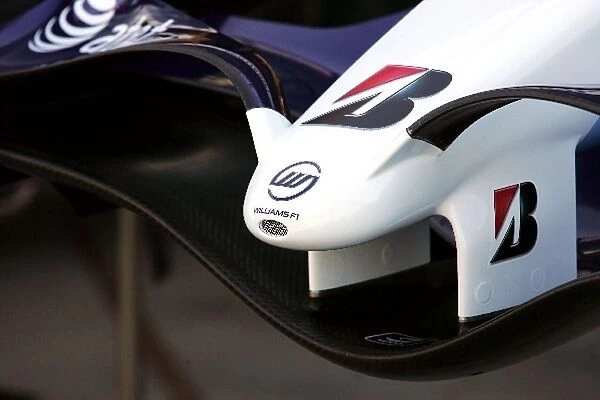 Formula One World Championship: Williams FW29 front wing