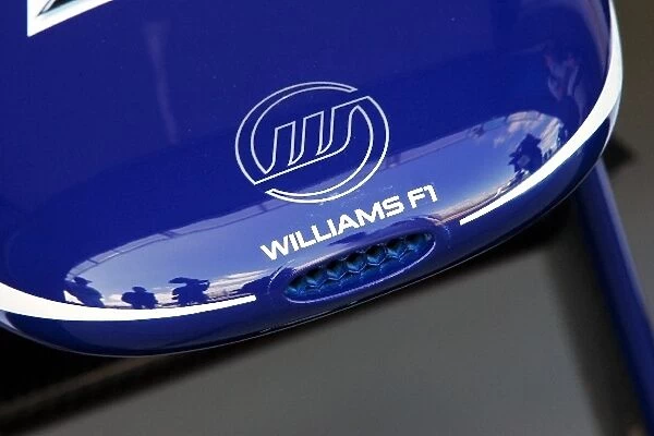 Formula One World Championship: Williams FW31 nose cone