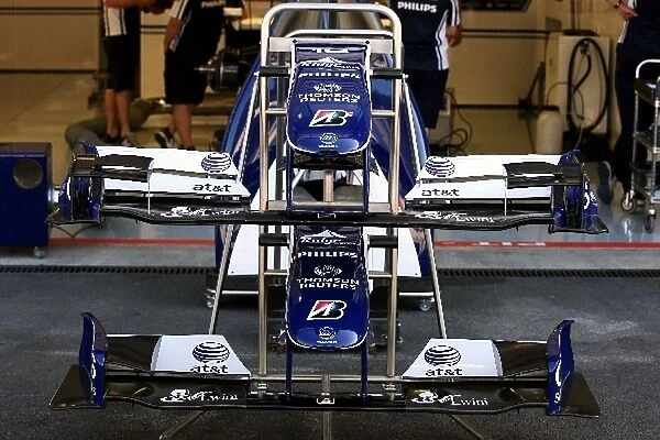 Formula One World Championship: Williams FW31 front wings