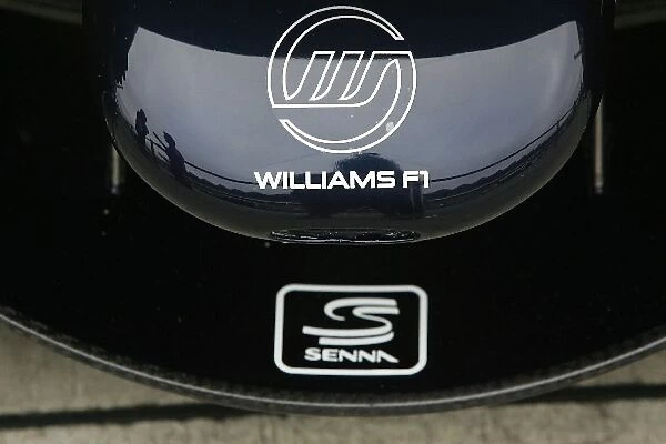Formula One World Championship: Williams nose