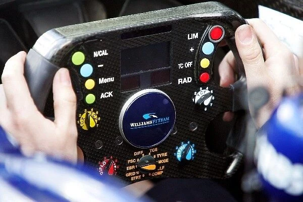 Formula One World Championship: Williams steering wheel