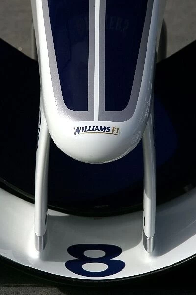 Formula One World Championship: Williams front wing