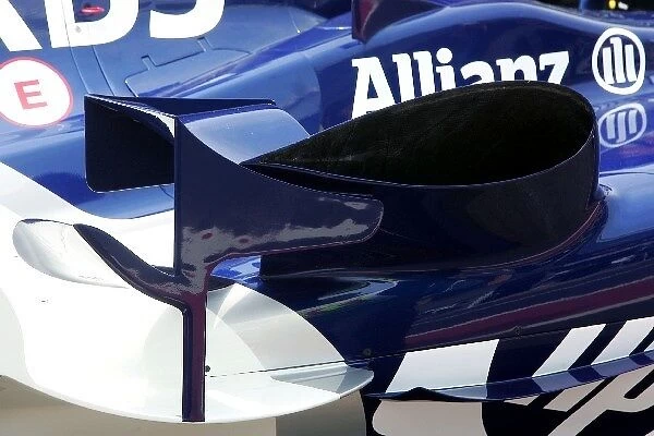 Formula One World Championship: Winglet detail on the Williams BMW FW27