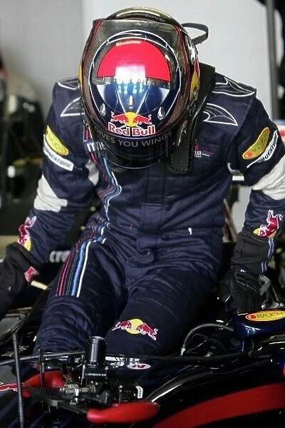 GP Live. Michael Ammermuller (GER) Red Bull Third Driver