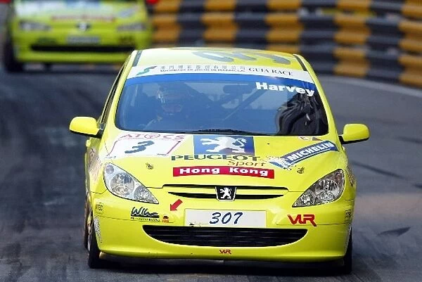 Macau Guia Touring Car Race: Tim Harvey Peugeot 307
