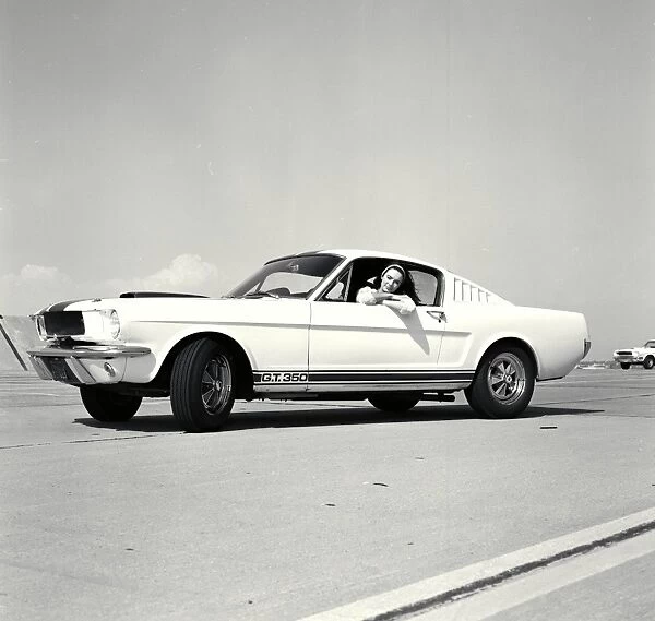 Shelby Mustang GT350: 1st Shelby being built, Los Angeles, CA, 1965