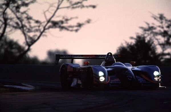 The Winning Panoz of Brabham, Bernard and Wallace American Le Mans Series