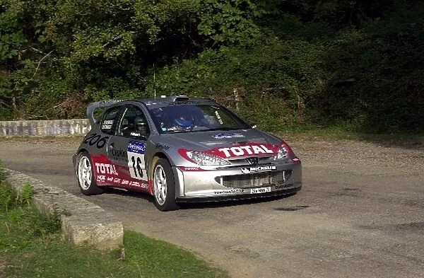 World Rally Championship: Gilles Panizzi Peugeot 206 WRC on stage 6. He lay 2nd overall at the end of day 2