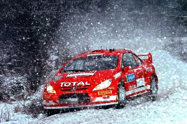 World Rally Championship: Markko Martin  /  Michael Park Peugeot 307 WRC