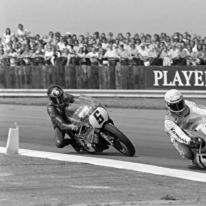 1973 International GP