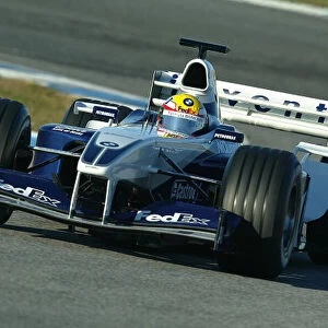 2003 Formula One Testing. Ho-Pin Tung, Debt test forWilliams. Jerez, Spain. 9-11 December 2003. World Copyright: Spinney / LAT Photographic. Ref. : Digital Image Only