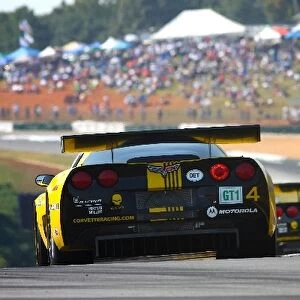 American Le Mans Series: Johnny O Connell / Jan Magnussen / Ron Fellows Corvette Racing Corvette C6