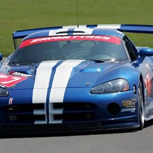 British GT Championship: Mike Gardiner / Paul Fenton, Moore Racing Viper Competition Coupe