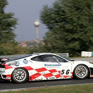 FIA GT Championship: Stephane Daoudi JMB Racing Ferrari 430 GTC