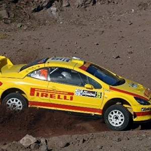 FIA World Rally Championship: Gigi Galli, Peugeot 306 WRC