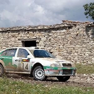 FIA World Rally Championship: Kenneth Eriksson Skoda Octavia WRC in action on Stage 17