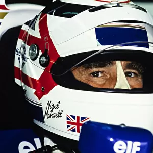Formula 1 1994: French GP