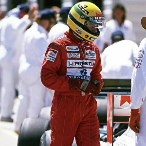 Formula One World Championship, 1988