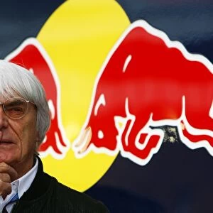 Formula One World Championship: Bernie Ecclestone CEO Formula One Group