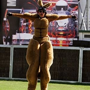 Formula One World Championship: A kangaroo in the paddock
