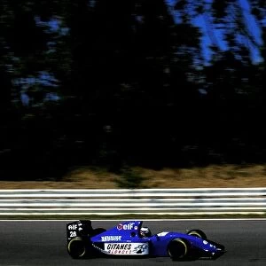 Formula One World Championship: Olivier Panis Ligier JS39B was disqualified from ninth position when the car├òs skidblock was judged to be undersized
