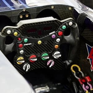 Formula One World Championship: Red Bull RB3 steering wheel