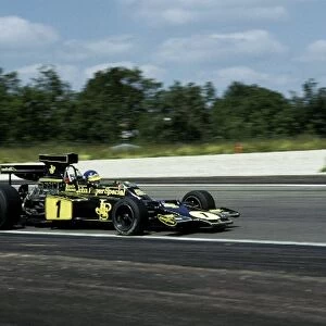 Formula One World Championship: Ronnie Peterson drove magnificently to claim victory in the ageing Lotus 72E
