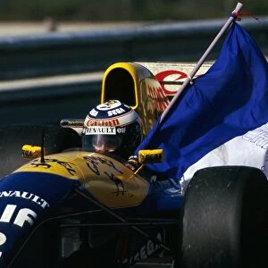 Formula One World Championship: Second place was enough for Alain Prost Williams FW15C to clinch his fourth World Championship