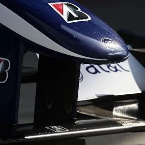 Formula One World Championship: Williams nose cone