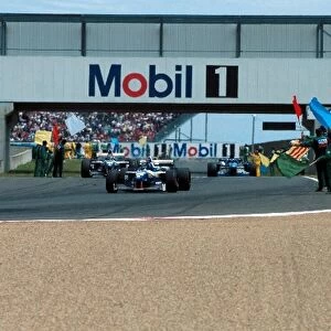 Formula One World Championship: Winner Damon Hill Williams FW18