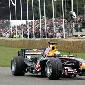 Goodwood Festival Of Speed: Sebastien Buemi Red Bull Racing RB3
