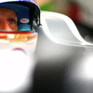Portrait Helmets F1 Formula 1 Formula One Grand Prix