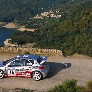 World Rally Championship: Gilles Panizzi Peugeot 206 WRC finished in 2nd place