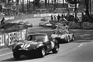 Lemansbook Gallery: 1964 Le Mans 24 Hours: Peter Lumsden / Peter Sargent, retired, leads a group of cars at the start