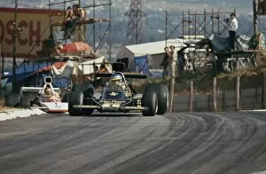 Images Dated 28th August 2012: 1974 South African Grand Prix - Ronnie Peterson: Ronnie Peterson, retired, action