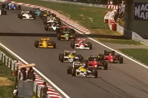 1980s F1 Gallery: 1987 Hungarian Grand Prix: Nigel Mansell leads Gerhard Berger and Michele Alboreto, Nelson Piquet