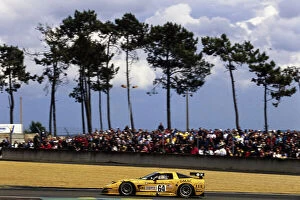 Images Dated 16th June 2001: 2001 24 Hours of Le Mans