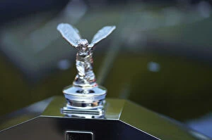 Detail Collection: Automotive 2021: Concours of Elegance