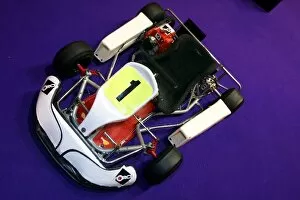 Images Dated 11th January 2008: Autosport Show: Lewis Hamiltons kart