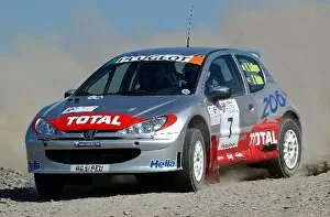 Images Dated 8th April 2002: British Rally Championship: Rory Galligan Peugeot 206