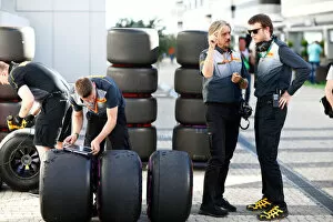Images Dated 29th April 2017: f1 formula 1 formula one gp Portrait Tyres