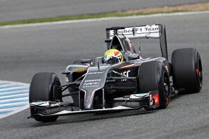 Images Dated 29th January 2014: F1 Formula 1 Formula One Testing Test Action