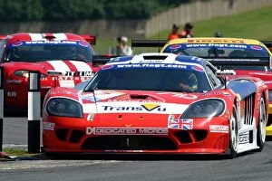 Donington Park Gallery: FIA GT Championship