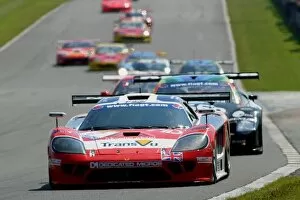 Images Dated 29th June 2003: FIA GT Championship: Erdos / Newton Graham Nash Motorsport