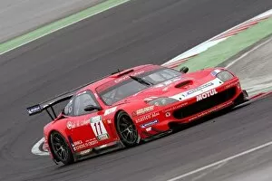 Dubai Autodrome Gallery: FIA GT Championship: Gabriele Gardel Larbre Competition Ferrari 550 Maranello won the race