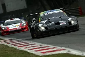 Images Dated 29th March 2004: FIA GT Championship: Paul Knapfield Lister Storm