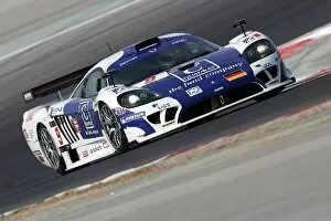 Dubai Gallery: FIA GT: Sascha Bert Zakspeed Racing Saleen S7-R