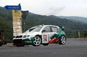 2003 WRC Gallery: FIA World Rally Championship: Didier Auriol, Skoda Fabia WRC, on Stage 8
