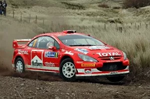 Images Dated 16th July 2005: FIA World Rally Championship: Markko Martin, Peugeot 307 WRC, on stage 7